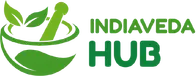 IndiaVeda Hub logo